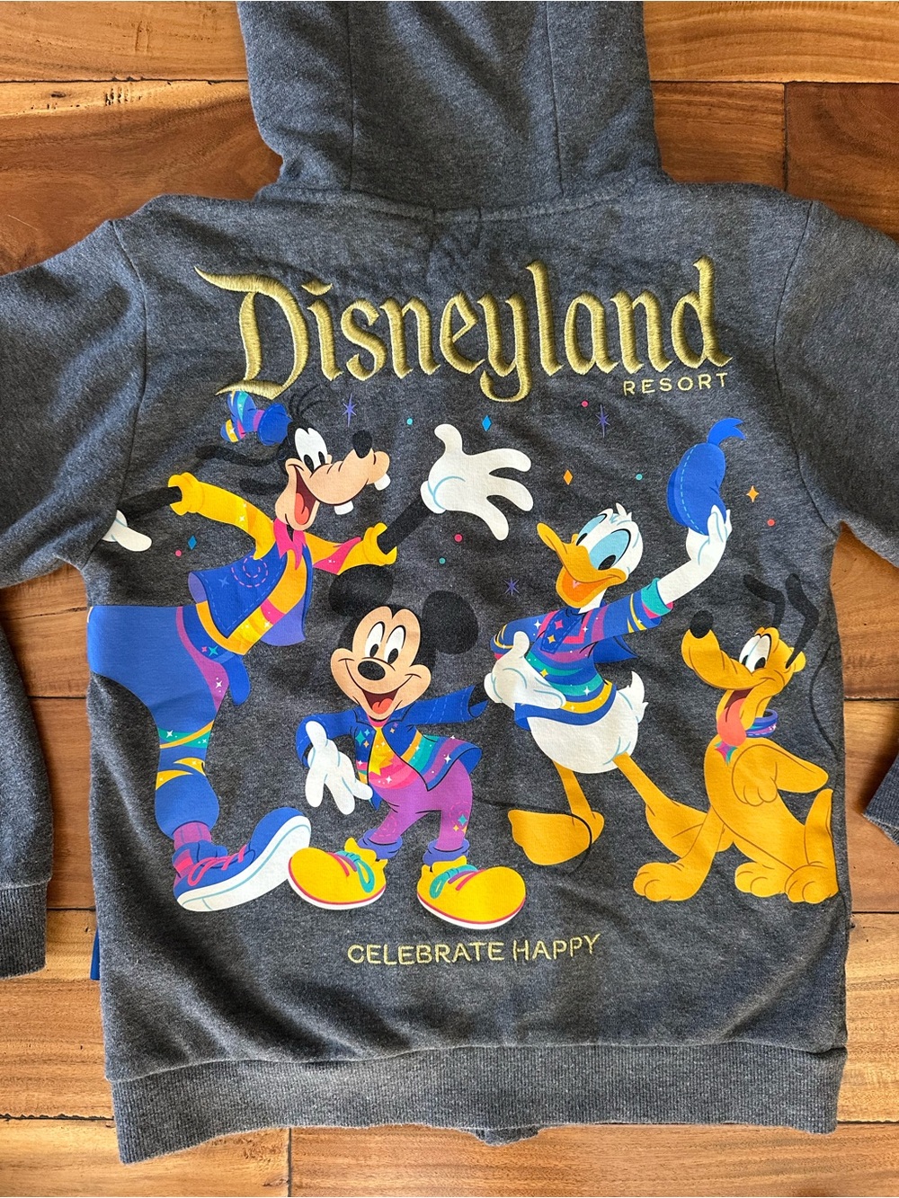 Disneyland Resort 70th Anniversary Zip Hoodie Youth 11/12